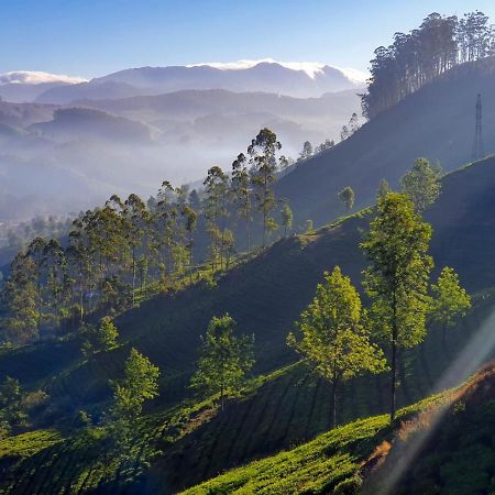 Grace Inn Munnar Homestay Buitenkant foto